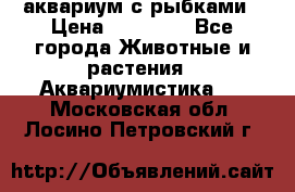 аквариум с рыбками › Цена ­ 15 000 - Все города Животные и растения » Аквариумистика   . Московская обл.,Лосино-Петровский г.